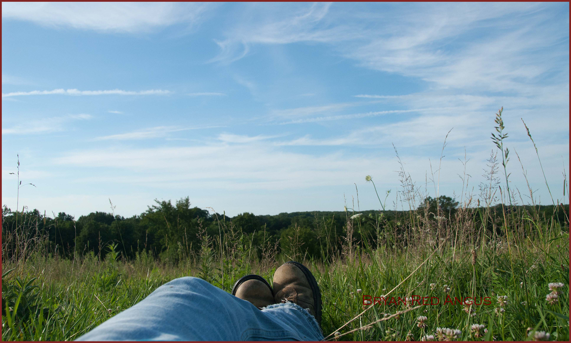 Scenic View