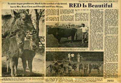 cattle